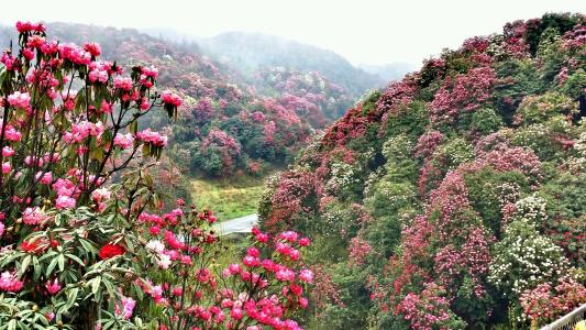 沈阳治失眠哪家好